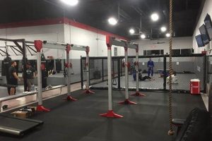 Best MMA Gym in Scottsdale: Train Now! Ultimate Guide to MMA: Training, Techniques, and Top Fighters in The World Best MMA Gym in Scottsdale: Train Now! | Ultimate Guide to MMA: Training, Techniques, and Top Fighters in The World