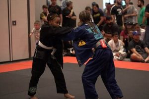 Best MMA Gym & Fitness in Riverside Ultimate Guide to MMA: Training, Techniques, and Top Fighters in The World Best MMA Gym & Fitness in Riverside | Ultimate Guide to MMA: Training, Techniques, and Top Fighters in The World