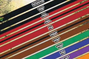 Ultimate MMA Belt Order Guide & Ranking System Ultimate Guide to MMA: Training, Techniques, and Top Fighters in The World Ultimate MMA Belt Order Guide & Ranking System | Ultimate Guide to MMA: Training, Techniques, and Top Fighters in The World