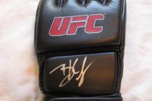 Brock Lesnar's MMA Gloves: A Fighter's Guide Ultimate Guide to MMA: Training, Techniques, and Top Fighters in The World Brock Lesnar's MMA Gloves: A Fighter's Guide | Ultimate Guide to MMA: Training, Techniques, and Top Fighters in The World
