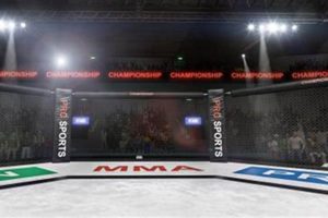 The Ultimate Guide to MMA Ringside Seats | Ultimate Guide to MMA: Training, Techniques, and Top Fighters in The World