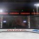 The Ultimate Guide to MMA Ringside Seats | Ultimate Guide to MMA: Training, Techniques, and Top Fighters in The World
