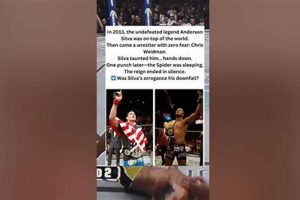 Anderson Silva Mma Stats Ultimate Guide to MMA: Training, Techniques, and Top Fighters in The World Anderson Silva Mma Stats | Ultimate Guide to MMA: Training, Techniques, and Top Fighters in The World