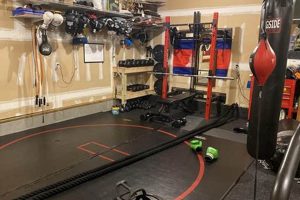 Build Your Ultimate MMA Home Gym Ultimate Guide to MMA: Training, Techniques, and Top Fighters in The World Build Your Ultimate MMA Home Gym | Ultimate Guide to MMA: Training, Techniques, and Top Fighters in The World