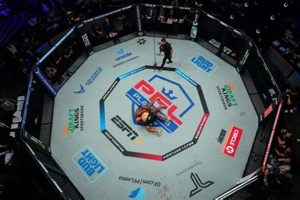 Best PFL MMA Fighters: Rankings & Highlights | Ultimate Guide to MMA: Training, Techniques, and Top Fighters in The World