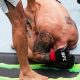 Ultimate MMA Fights in AC Tonight! | Ultimate Guide to MMA: Training, Techniques, and Top Fighters in The World