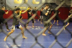 Best MMA Gyms & Training in Portland, OR Ultimate Guide to MMA: Training, Techniques, and Top Fighters in The World Best MMA Gyms & Training in Portland, OR | Ultimate Guide to MMA: Training, Techniques, and Top Fighters in The World