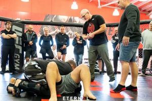 Mma Referee Course Ultimate Guide to MMA: Training, Techniques, and Top Fighters in The World Mma Referee Course | Ultimate Guide to MMA: Training, Techniques, and Top Fighters in The World