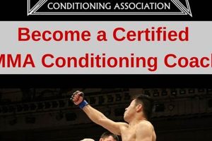 Certified MMA Coach: Get Your Certification Now Ultimate Guide to MMA: Training, Techniques, and Top Fighters in The World Certified MMA Coach: Get Your Certification Now | Ultimate Guide to MMA: Training, Techniques, and Top Fighters in The World