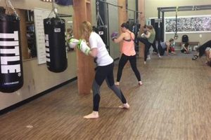 Wny Mma | Ultimate Guide to MMA: Training, Techniques, and Top Fighters in The World