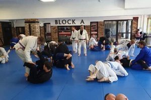 Best MMA Gym in Nashville: Train Like a Pro Ultimate Guide to MMA: Training, Techniques, and Top Fighters in The World Best MMA Gym in Nashville: Train Like a Pro | Ultimate Guide to MMA: Training, Techniques, and Top Fighters in The World