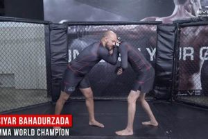Dominate MMA Clinch Fighting: Tips &amp; Techniques | Ultimate Guide to MMA: Training, Techniques, and Top Fighters in The World