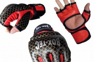 Dominate the Octagon: The MMA Spider Guard Ultimate Guide to MMA: Training, Techniques, and Top Fighters in The World Dominate the Octagon: The MMA Spider Guard | Ultimate Guide to MMA: Training, Techniques, and Top Fighters in The World