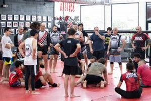 Become an MMA Master: Top Training Guides Ultimate Guide to MMA: Training, Techniques, and Top Fighters in The World Become an MMA Master: Top Training Guides | Ultimate Guide to MMA: Training, Techniques, and Top Fighters in The World