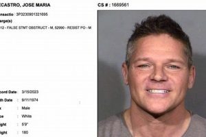 MMA Fighter Chille DeCastro: Bio, Stats & Highlights | Ultimate Guide to MMA: Training, Techniques, and Top Fighters in The World