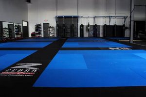 Dominate the Mat: Essential MMA Ground Game | Ultimate Guide to MMA: Training, Techniques, and Top Fighters in The World