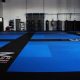 Dominate the Mat: Essential MMA Ground Game | Ultimate Guide to MMA: Training, Techniques, and Top Fighters in The World