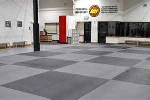 Best MMA Gyms in Maryland: Top Training Centers Ultimate Guide to MMA: Training, Techniques, and Top Fighters in The World Best MMA Gyms in Maryland: Top Training Centers | Ultimate Guide to MMA: Training, Techniques, and Top Fighters in The World