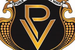 Discover Pura Vida BJJ & MMA Training | Ultimate Guide to MMA: Training, Techniques, and Top Fighters in The World