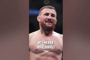 Best MMA Gyms & Training in Georgia Ultimate Guide to MMA: Training, Techniques, and Top Fighters in The World Best MMA Gyms & Training in Georgia | Ultimate Guide to MMA: Training, Techniques, and Top Fighters in The World