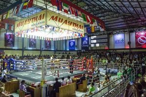 Train MMA in Koh Samui: Top Gyms & Camps | Ultimate Guide to MMA: Training, Techniques, and Top Fighters in The World