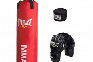 Everlast Punching Bag Mma Ultimate Guide to MMA: Training, Techniques, and Top Fighters in The World Everlast Punching Bag Mma | Ultimate Guide to MMA: Training, Techniques, and Top Fighters in The World