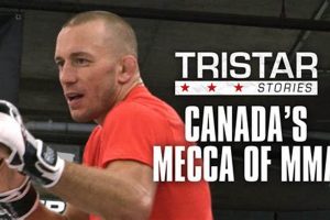 Top Tristar MMA Gym: Montreal's Best Ultimate Guide to MMA: Training, Techniques, and Top Fighters in The World Top Tristar MMA Gym: Montreal's Best | Ultimate Guide to MMA: Training, Techniques, and Top Fighters in The World