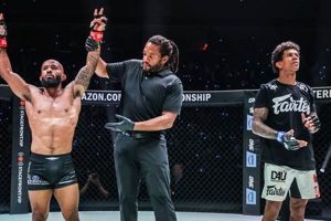Understanding MMA Decisions & Judging Criteria | Ultimate Guide to MMA: Training, Techniques, and Top Fighters in The World