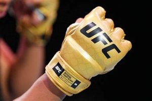 Authentic Official UFC MMA Gloves: Guide & FAQ Ultimate Guide to MMA: Training, Techniques, and Top Fighters in The World Authentic Official UFC MMA Gloves: Guide & FAQ | Ultimate Guide to MMA: Training, Techniques, and Top Fighters in The World