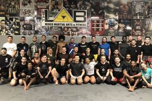 Train Like a Pro: The MMA Lab Experience | Ultimate Guide to MMA: Training, Techniques, and Top Fighters in The World