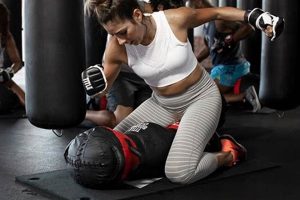 Best MMA Classes in Jacksonville, FL | Top Gyms Ultimate Guide to MMA: Training, Techniques, and Top Fighters in The World Best MMA Classes in Jacksonville, FL | Top Gyms | Ultimate Guide to MMA: Training, Techniques, and Top Fighters in The World