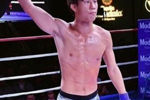 Daniel Park MMA: Lookism Fighter Skills & Training Ultimate Guide to MMA: Training, Techniques, and Top Fighters in The World Daniel Park MMA: Lookism Fighter Skills & Training | Ultimate Guide to MMA: Training, Techniques, and Top Fighters in The World