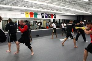 Best MMA Gyms & Training in St. Louis Ultimate Guide to MMA: Training, Techniques, and Top Fighters in The World Best MMA Gyms & Training in St. Louis | Ultimate Guide to MMA: Training, Techniques, and Top Fighters in The World