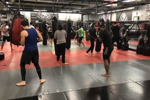Best MMA Classes & Gyms on Long Island Ultimate Guide to MMA: Training, Techniques, and Top Fighters in The World Best MMA Classes & Gyms on Long Island | Ultimate Guide to MMA: Training, Techniques, and Top Fighters in The World