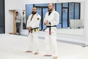 Epic Kaiju Kickboxing and MMA Battles! Ultimate Guide to MMA: Training, Techniques, and Top Fighters in The World Epic Kaiju Kickboxing and MMA Battles! | Ultimate Guide to MMA: Training, Techniques, and Top Fighters in The World