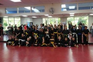 Mma Palm Harbor Ultimate Guide to MMA: Training, Techniques, and Top Fighters in The World Mma Palm Harbor | Ultimate Guide to MMA: Training, Techniques, and Top Fighters in The World