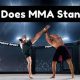 Mma Stand | Ultimate Guide to MMA: Training, Techniques, and Top Fighters in The World