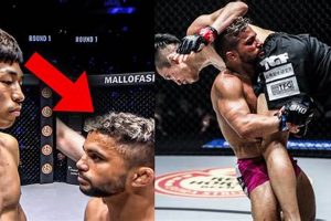 Maximize Your MMA CPS: Proven Strategies | Ultimate Guide to MMA: Training, Techniques, and Top Fighters in The World