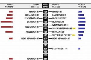Ultimate Guide to MMA Weight Classes & Categories Ultimate Guide to MMA: Training, Techniques, and Top Fighters in The World Ultimate Guide to MMA Weight Classes & Categories | Ultimate Guide to MMA: Training, Techniques, and Top Fighters in The World