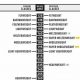 Ultimate Guide to MMA Weight Classes & Categories | Ultimate Guide to MMA: Training, Techniques, and Top Fighters in The World