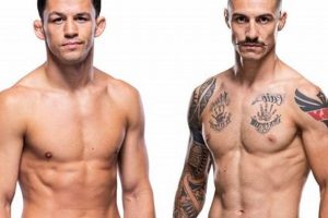 Billy Q Mma Ultimate Guide to MMA: Training, Techniques, and Top Fighters in The World Billy Q Mma | Ultimate Guide to MMA: Training, Techniques, and Top Fighters in The World