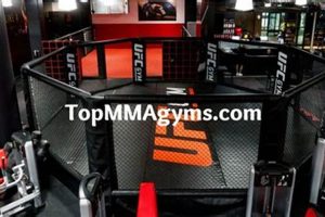 Best MMA Gyms in Oklahoma: Top Centers Ultimate Guide to MMA: Training, Techniques, and Top Fighters in The World Best MMA Gyms in Oklahoma: Top Centers | Ultimate Guide to MMA: Training, Techniques, and Top Fighters in The World