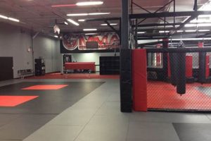Best MMA Gym: Train Like a Pro Fighter | Ultimate Guide to MMA: Training, Techniques, and Top Fighters in The World