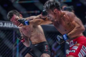 Ultimate MMA Facts: Stats & History Ultimate Guide to MMA: Training, Techniques, and Top Fighters in The World Ultimate MMA Facts: Stats & History | Ultimate Guide to MMA: Training, Techniques, and Top Fighters in The World