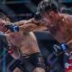 Ultimate MMA Facts: Stats & History | Ultimate Guide to MMA: Training, Techniques, and Top Fighters in The World