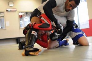 Top MMA Gyms & Classes in Ashton Oaks Ultimate Guide to MMA: Training, Techniques, and Top Fighters in The World Top MMA Gyms & Classes in Ashton Oaks | Ultimate Guide to MMA: Training, Techniques, and Top Fighters in The World