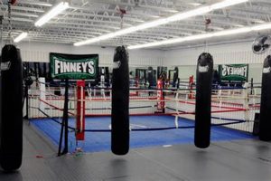 Train at Finney's MMA Gym | Top MMA Training Ultimate Guide to MMA: Training, Techniques, and Top Fighters in The World Train at Finney's MMA Gym | Top MMA Training | Ultimate Guide to MMA: Training, Techniques, and Top Fighters in The World