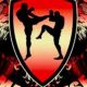Join Team Manu MMA Club: Train Like a Pro | Ultimate Guide to MMA: Training, Techniques, and Top Fighters in The World