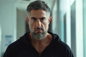 My MMA Best Friend: A Fighter's Guide | Ultimate Guide to MMA: Training, Techniques, and Top Fighters in The World