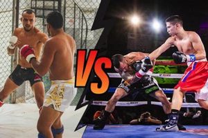 MMA vs. Boxing: Key Differences Explained Ultimate Guide to MMA: Training, Techniques, and Top Fighters in The World MMA vs. Boxing: Key Differences Explained | Ultimate Guide to MMA: Training, Techniques, and Top Fighters in The World